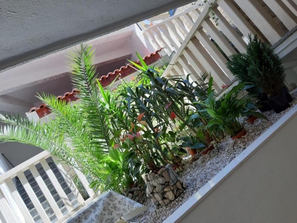 Apartments Duce Bagian luar foto