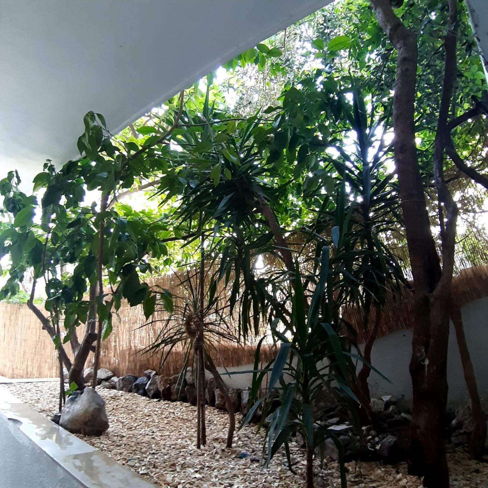 Apartments Duce Bagian luar foto